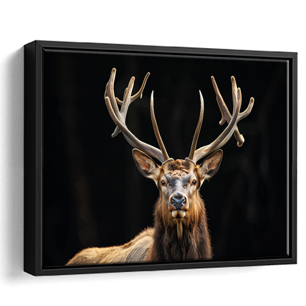 Portrait Elk With Antlers Black Background, Hunting Art Decor V4, Floating Framed Canvas Print Wall Art