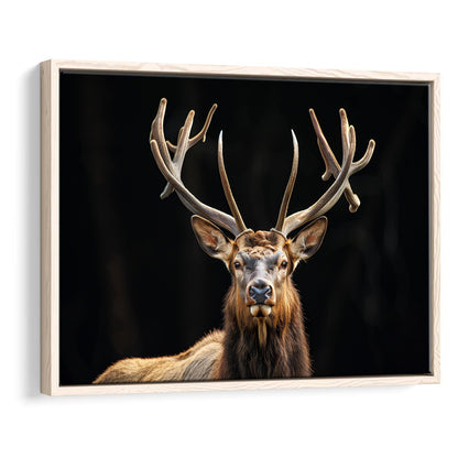 Portrait Elk With Antlers Black Background, Hunting Art Decor V4, Floating Framed Canvas Print Wall Art
