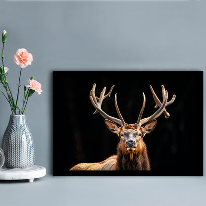 Portrait Elk With Antlers Black Background, Hunting Art Decor V4, Framed Art Print Wall Decor, Framed Picture