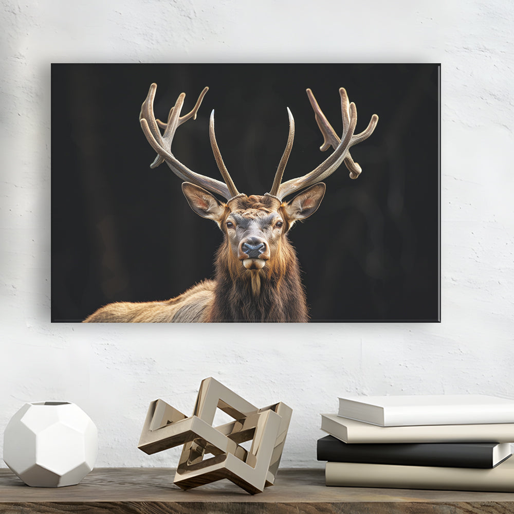 Portrait Elk With Antlers Black Background, Hunting Art Decor V4, Canvas Print Wall Art Home Decor