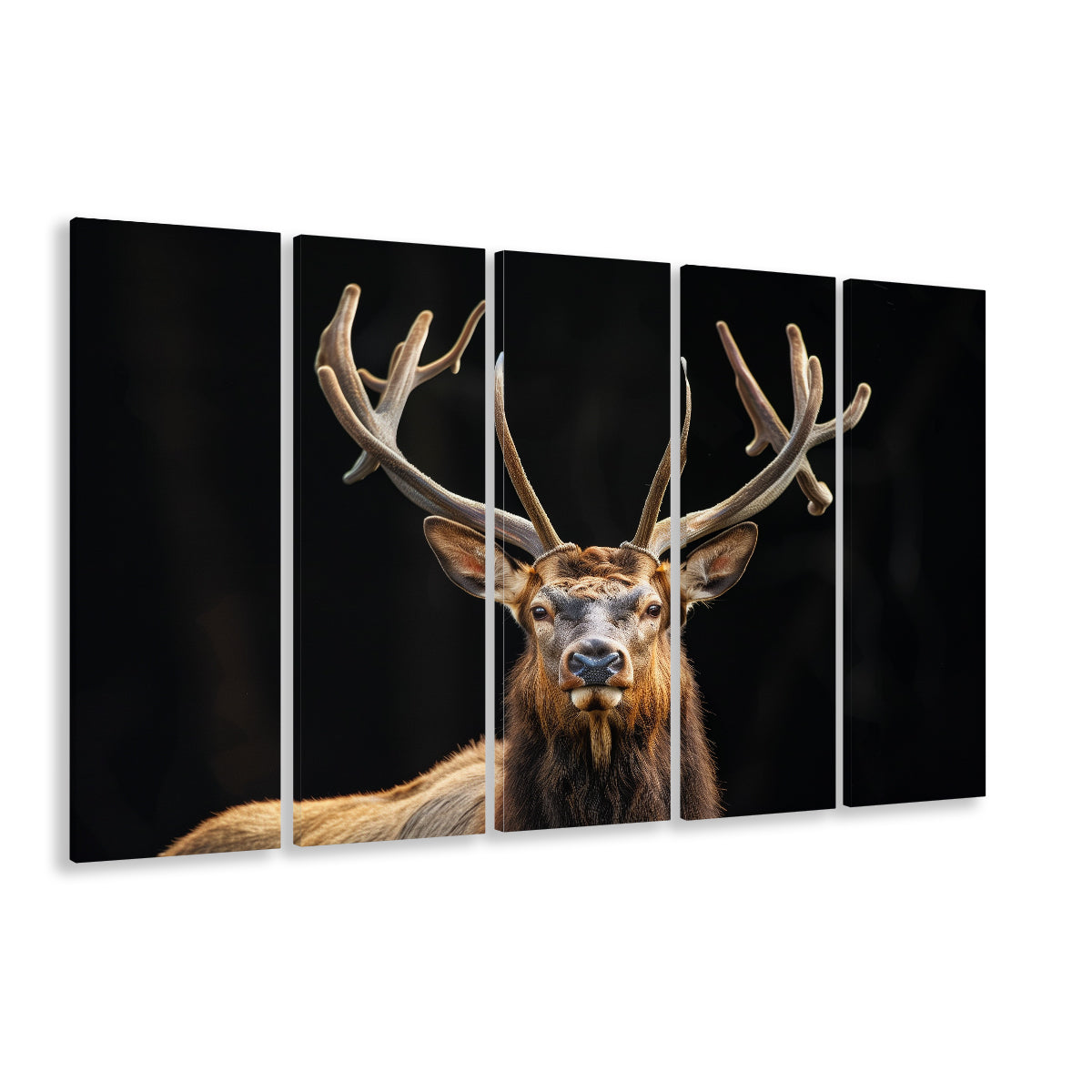 Portrait Elk With Antlers Black Background, Hunting Art V4, Multi Panels Canvas Print Wall Art