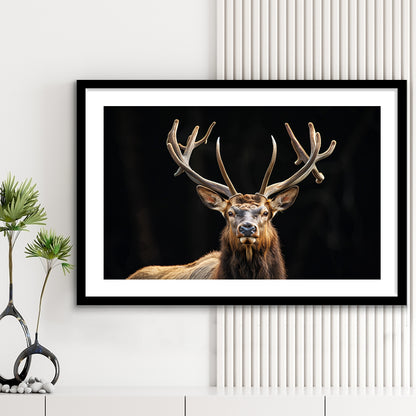 Portrait Elk With Antlers Black Background, Hunting Art Decor V4, Framed Art Print White Border Wall Decor