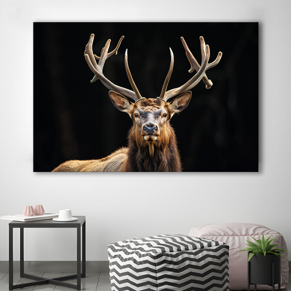 Portrait Elk With Antlers Black Background, Hunting Art Decor V4, Canvas Print Wall Art Home Decor