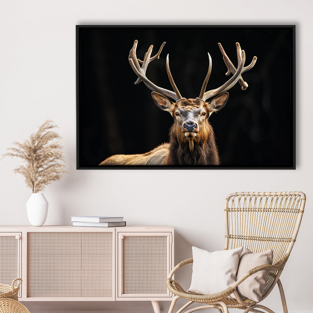 Portrait Elk With Antlers Black Background, Hunting Art Decor V4, Floating Framed Canvas Print Wall Art