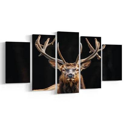 Portrait Elk With Antlers Black Background, Hunting Art Decor V4, Mixed Panels Canvas Print Wall Art