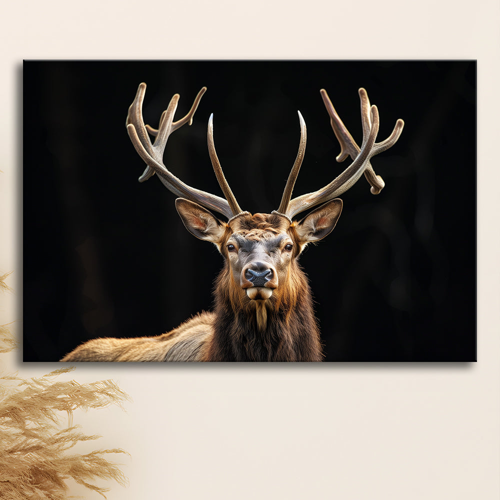 Portrait Elk With Antlers Black Background, Hunting Art Decor V4, Canvas Print Wall Art Home Decor