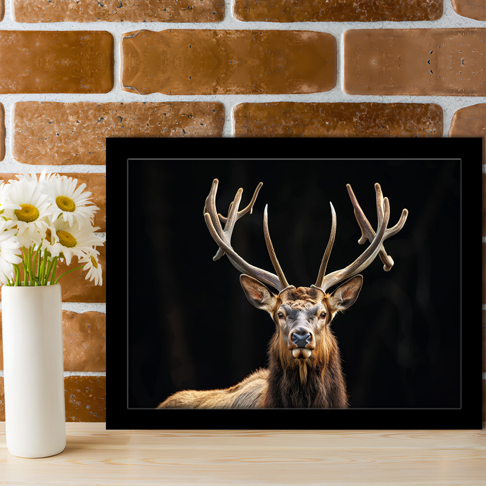 Portrait Elk With Antlers Black Background, Hunting Art Decor V4, Framed Art Print Wall Decor, Framed Picture