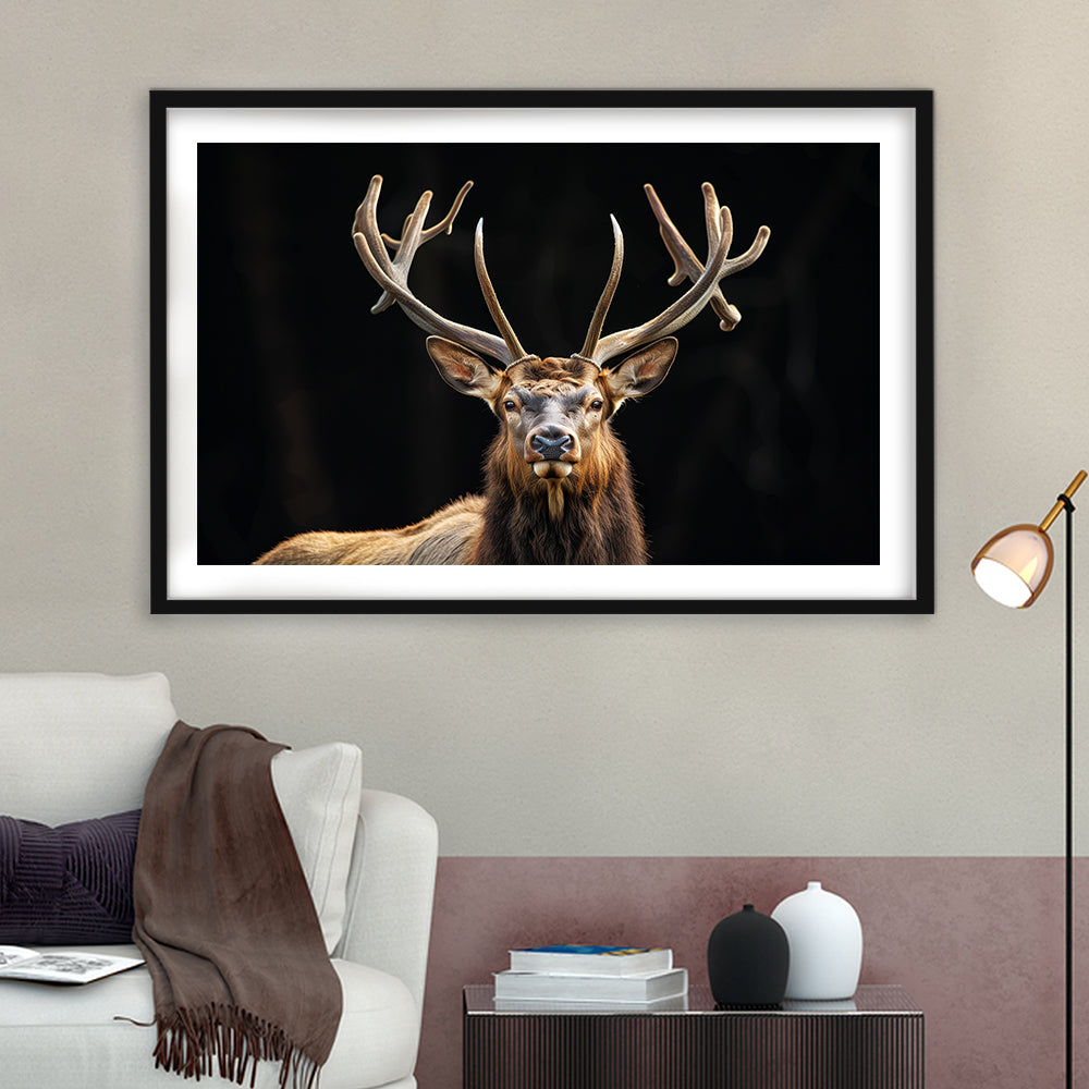 Portrait Elk With Antlers Black Background, Hunting Art Decor V4, Framed Art Print White Border Wall Decor
