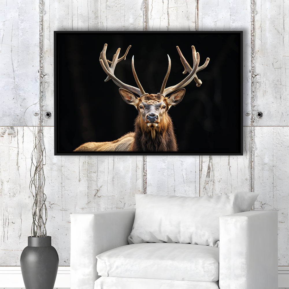 Portrait Elk With Antlers Black Background, Hunting Art Decor V4, Floating Framed Canvas Print Wall Art