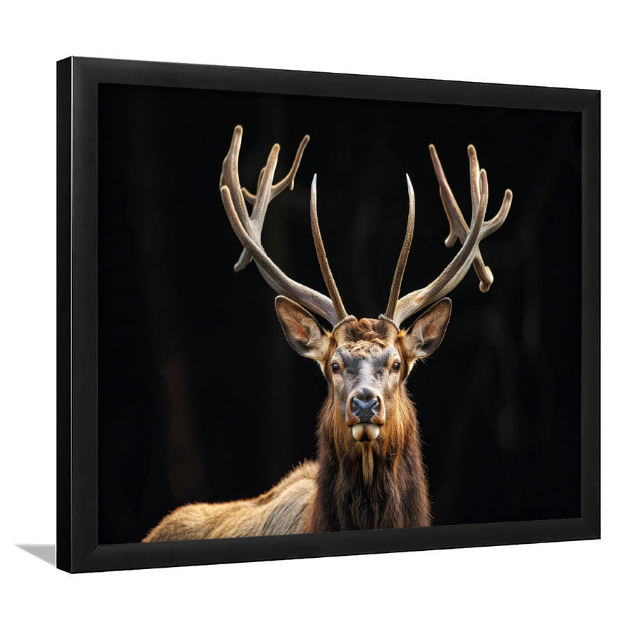 Portrait Elk With Antlers Black Background, Hunting Art Decor V4, Framed Art Print Wall Decor, Framed Picture