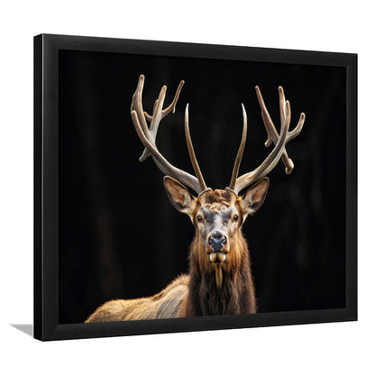 Portrait Elk With Antlers Black Background, Hunting Art Decor V4, Framed Art Print Wall Decor, Framed Picture