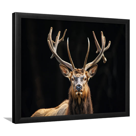 Portrait Elk With Antlers Black Background, Hunting Art Decor V4, Framed Art Print Wall Decor, Framed Picture