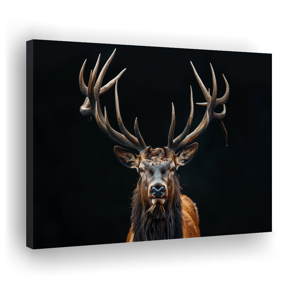 Portrait Elk With Antlers Black Background, Hunting Art Decor V5, Canvas Print Wall Art Home Decor