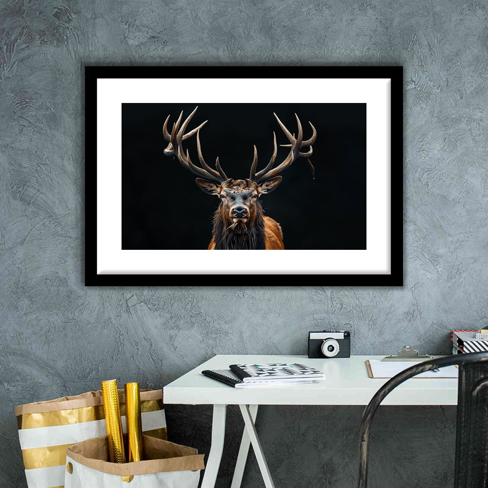 Portrait Elk With Antlers Black Background, Hunting Art Decor V5, Framed Art Print White Border Wall Decor
