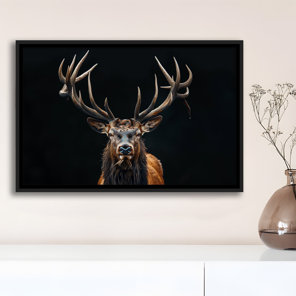 Portrait Elk With Antlers Black Background, Hunting Art Decor V5, Floating Framed Canvas Print Wall Art