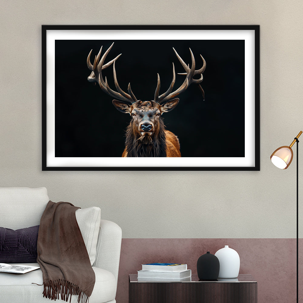 Portrait Elk With Antlers Black Background, Hunting Art Decor V5, Framed Art Print White Border Wall Decor
