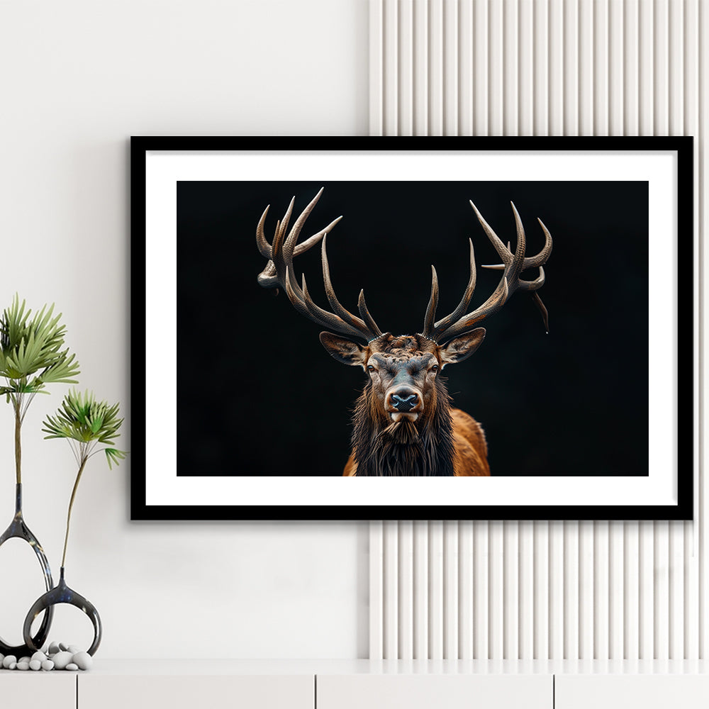 Portrait Elk With Antlers Black Background, Hunting Art Decor V5, Framed Art Print White Border Wall Decor