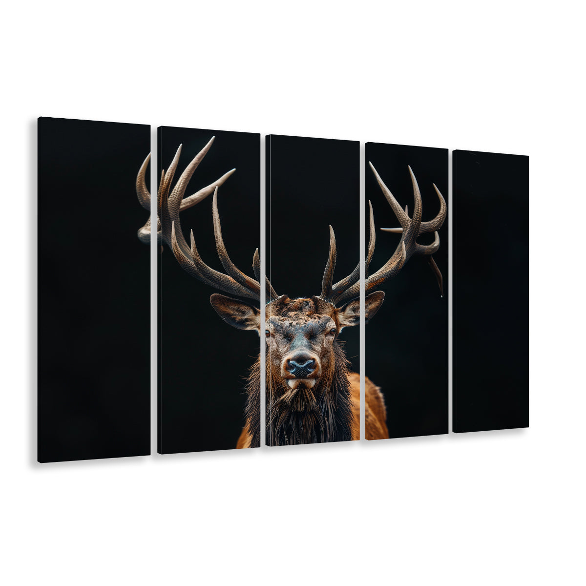 Portrait Elk With Antlers Black Background, Hunting Art V5, Multi Panels Canvas Print Wall Art