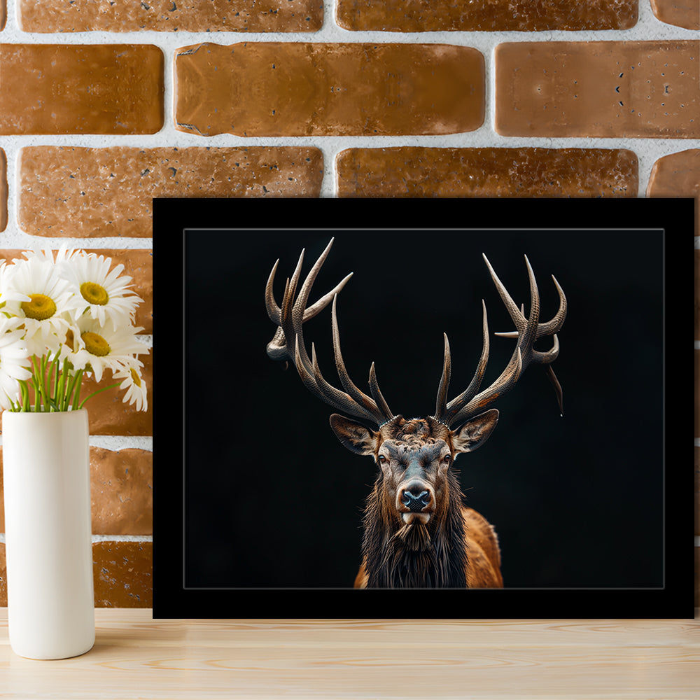 Portrait Elk With Antlers Black Background, Hunting Art Decor V5, Framed Art Print Wall Decor, Framed Picture