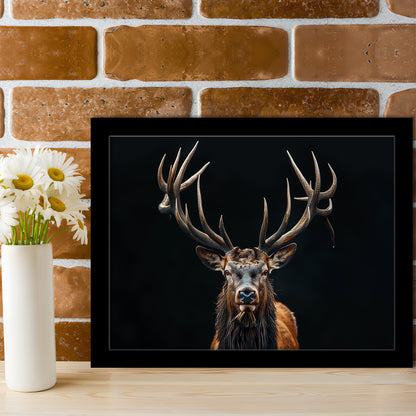 Portrait Elk With Antlers Black Background, Hunting Art Decor V5, Framed Art Print Wall Decor, Framed Picture