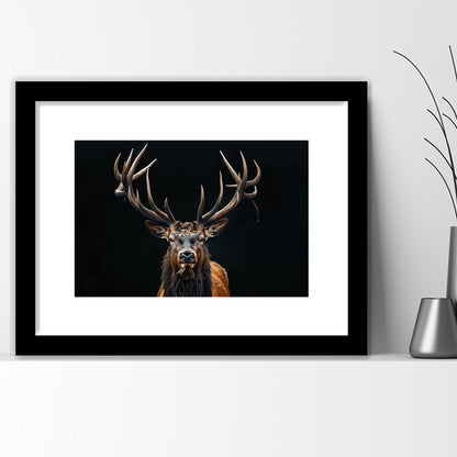 Portrait Elk With Antlers Black Background, Hunting Art Decor V5, Framed Art Print White Border Wall Decor