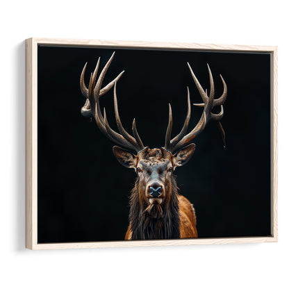 Portrait Elk With Antlers Black Background, Hunting Art Decor V5, Floating Framed Canvas Print Wall Art