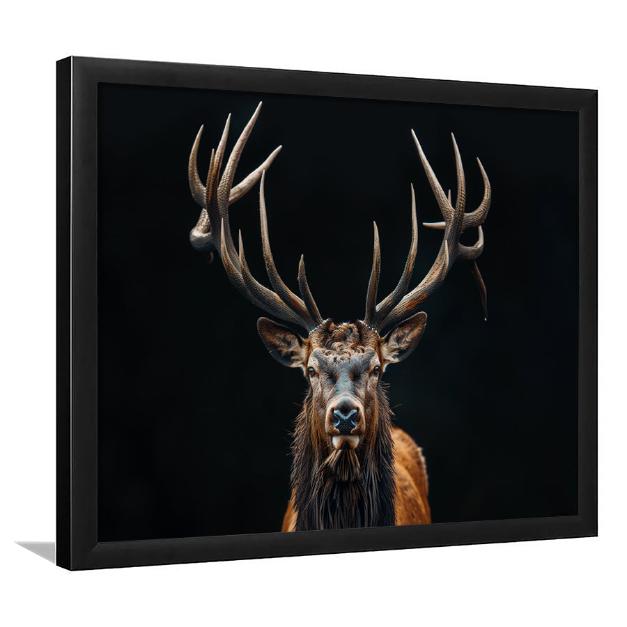 Portrait Elk With Antlers Black Background, Hunting Art Decor V5, Framed Art Print Wall Decor, Framed Picture
