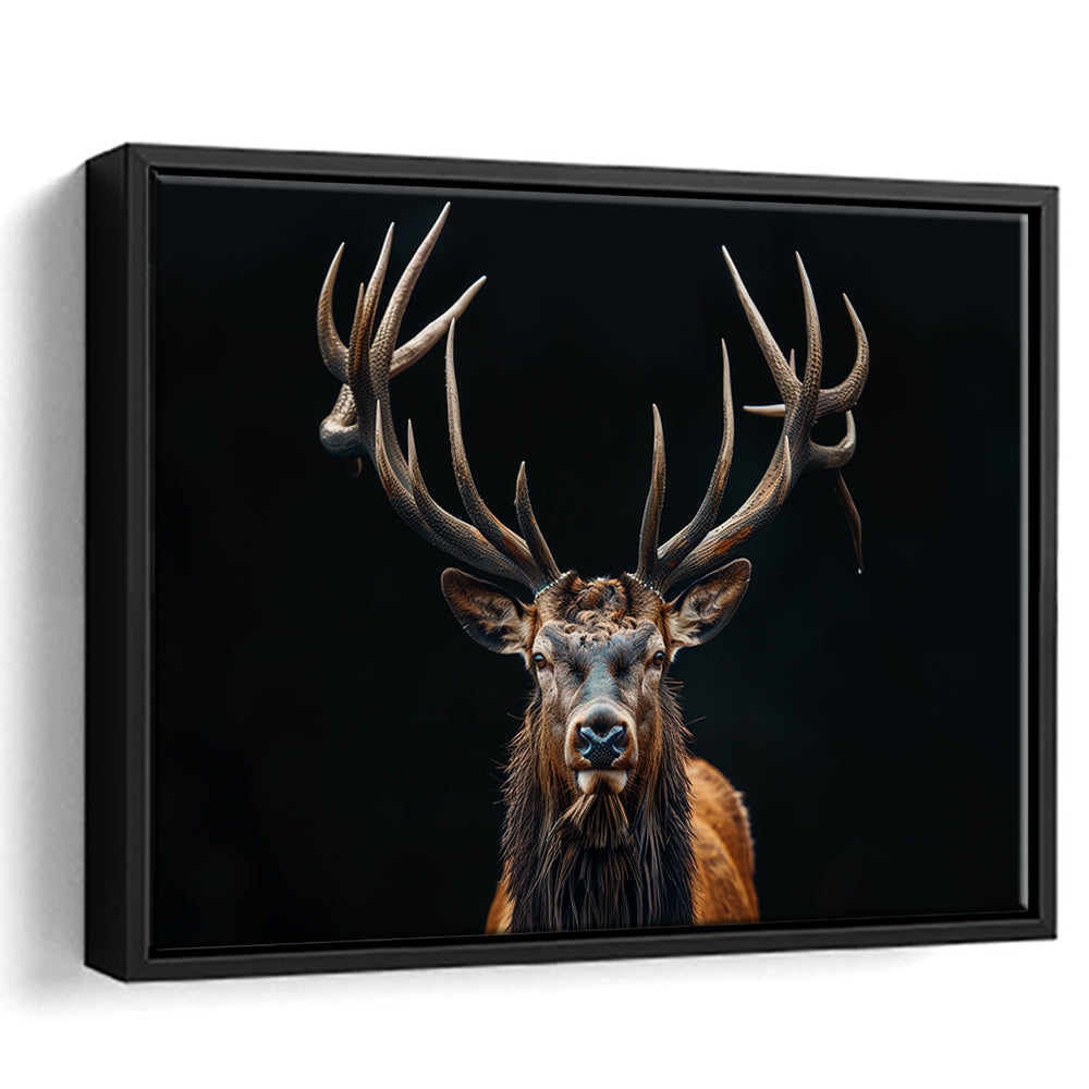 Portrait Elk With Antlers Black Background, Hunting Art Decor V5, Floating Framed Canvas Print Wall Art
