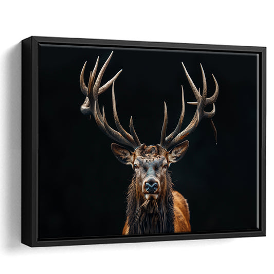 Portrait Elk With Antlers Black Background, Hunting Art Decor V5, Floating Framed Canvas Print Wall Art
