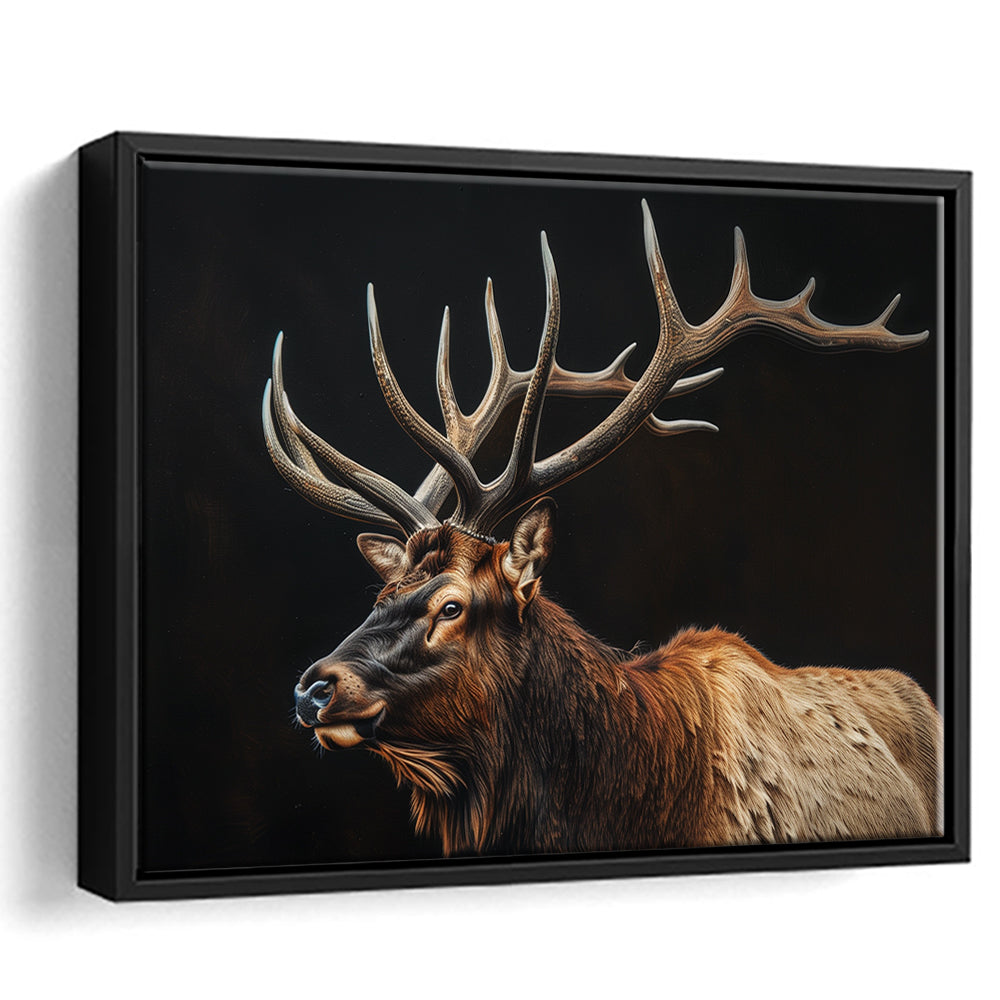 Portrait Elk With Antlers Black Background, Hunting Art Decor, Floating Framed Canvas Print Wall Art