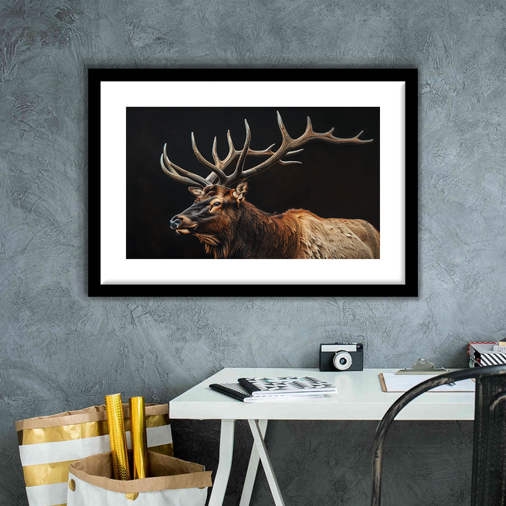 Portrait Elk With Antlers Black Background, Hunting Art Decor, Framed Art Print White Border Wall Decor