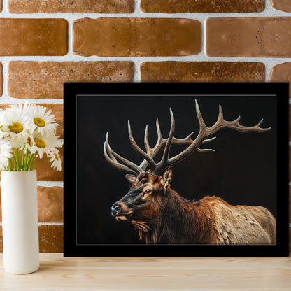 Portrait Elk With Antlers Black Background, Hunting Art Decor, Framed Art Print Wall Decor, Framed Picture