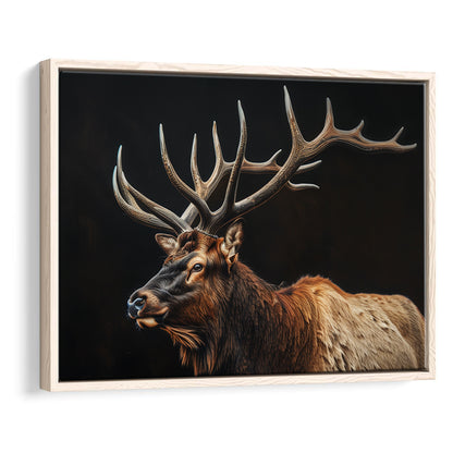 Portrait Elk With Antlers Black Background, Hunting Art Decor, Floating Framed Canvas Print Wall Art
