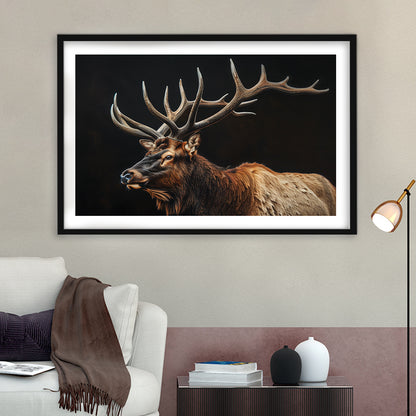 Portrait Elk With Antlers Black Background, Hunting Art Decor, Framed Art Print White Border Wall Decor