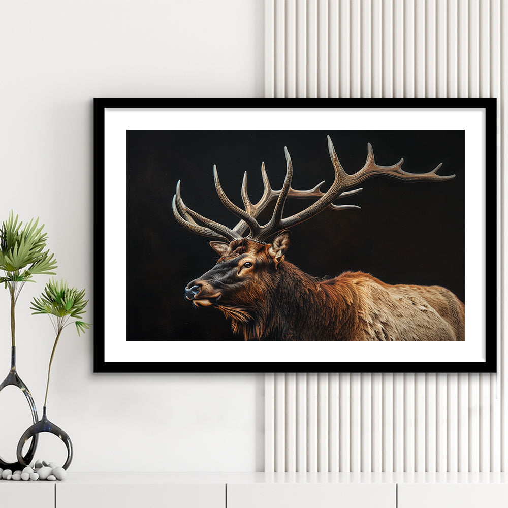 Portrait Elk With Antlers Black Background, Hunting Art Decor, Framed Art Print White Border Wall Decor