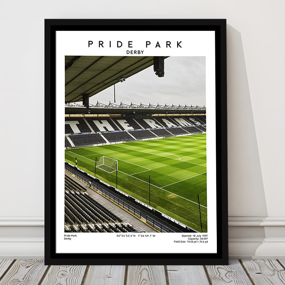 Pride Park Stadium, Derby County Stadium Wall Art Print, Football Stadium Art Decor, Framed Canvas Prints Wall Art