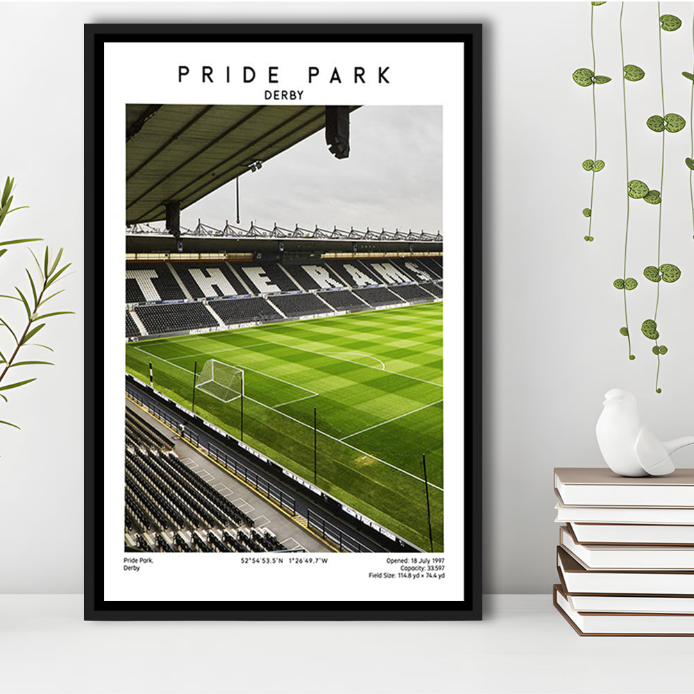 Pride Park Stadium, Derby County Stadium Wall Art Print, Football Stadium Art Decor, Framed Canvas Prints Wall Art