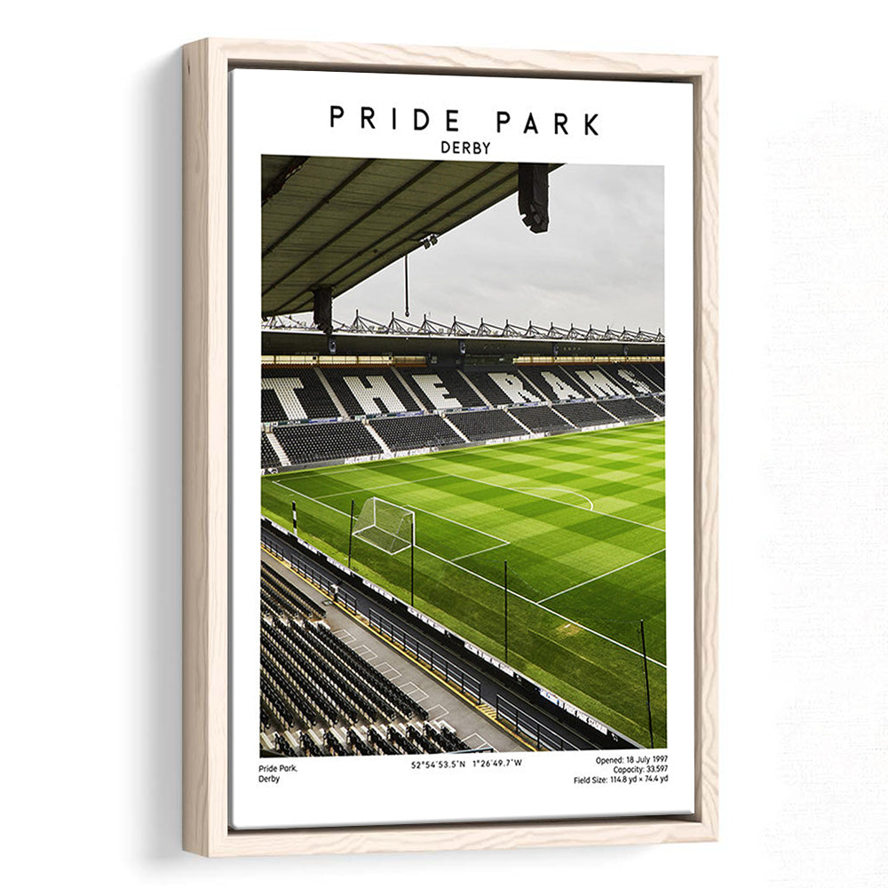 Pride Park Stadium, Derby County Stadium Wall Art Print, Football Stadium Art Decor, Framed Canvas Prints Wall Art