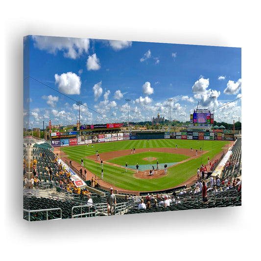 Principal Park, Stadium Canvas, Sport Art, Gift for him, Man Cave Decor, Art Print, Canvas Print Wall Art
