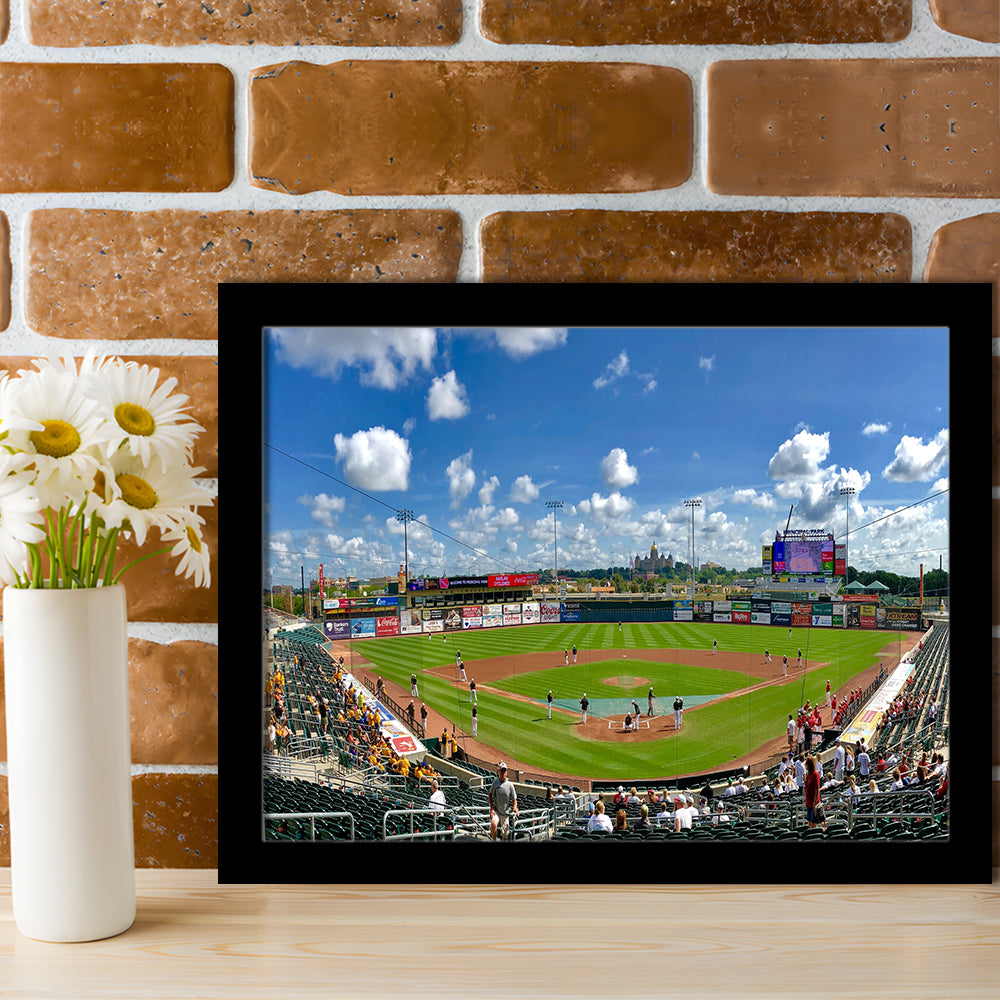 Principal Park, Stadium Canvas, Sport Art, Gift for him, Framed Art Print Wall Decor, Picture Framed