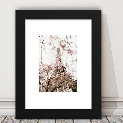 Printable Paris Wall Print Paris Photography Print Eiffel Tower Paris Blossom Print, Framed Art Prints White Border Wall Decor