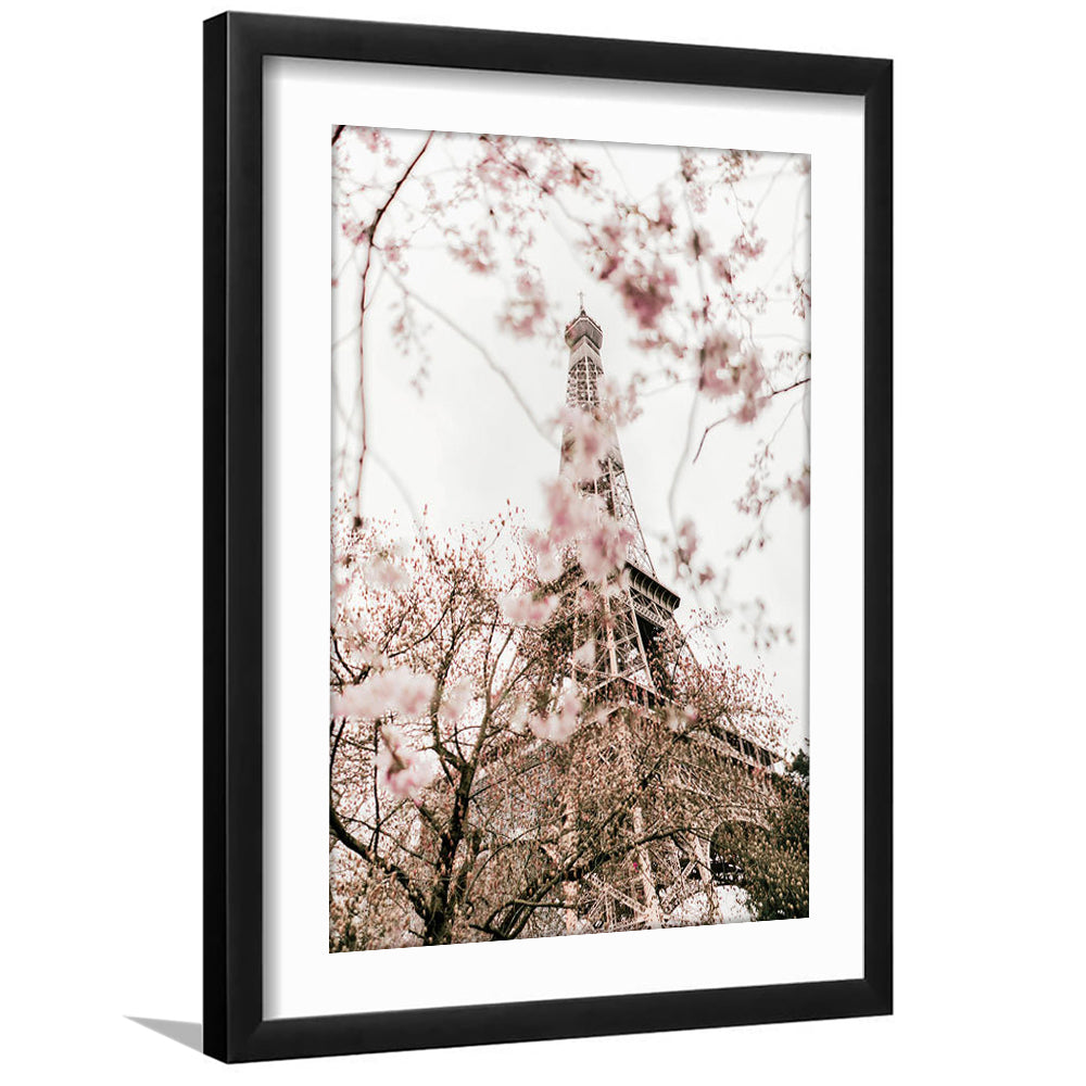 Printable Paris Wall Print Paris Photography Print Eiffel Tower Paris Blossom Print, Framed Art Prints White Border Wall Decor
