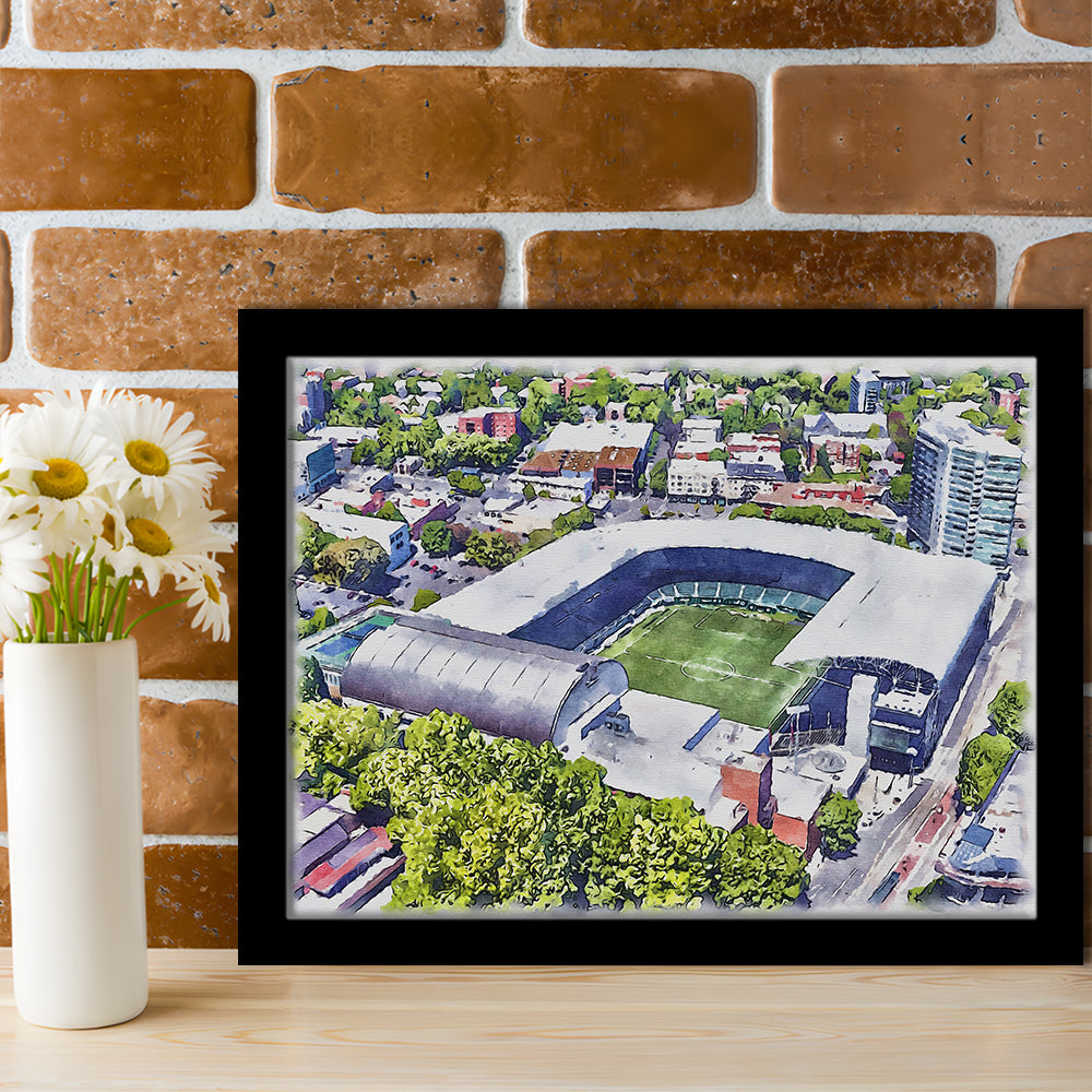 Providence Park Painting Stadium Watercolor, Portland Oregon, Sport Gift Art, Framed Art Print Wall Decor