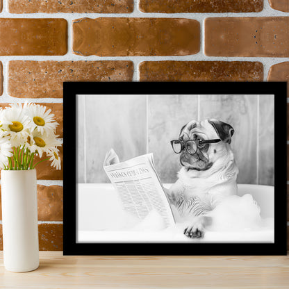 Pug in Bathtub Framed Art Print Wall Decor, Dog Reading Newspaper in Bubble Bath Black and White, Bathroom Wall Decor