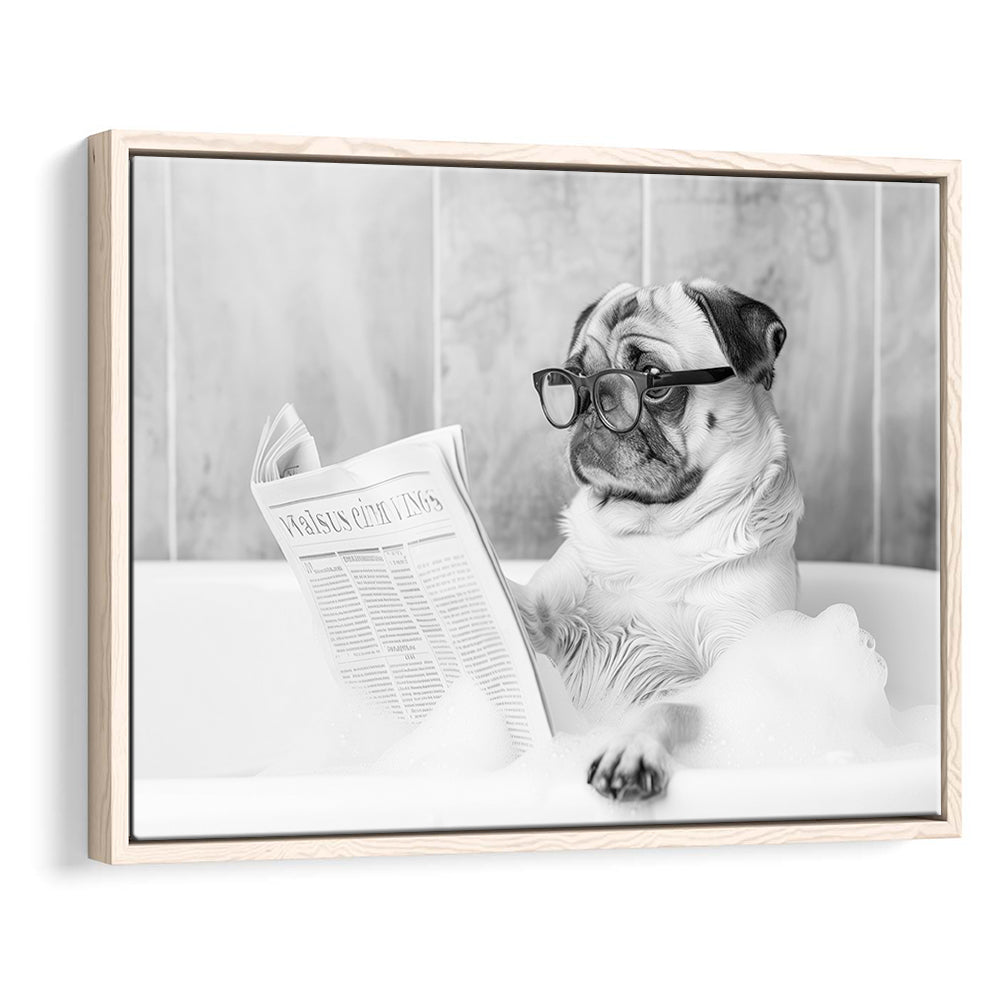 Pug in Bathtub Framed Canvas Print Wall Art, Dog Reading Newspaper in Bubble Bath Black and White, Bathroom Wall Decor
