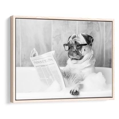 Pug in Bathtub Framed Canvas Print Wall Art, Dog Reading Newspaper in Bubble Bath Black and White, Bathroom Wall Decor