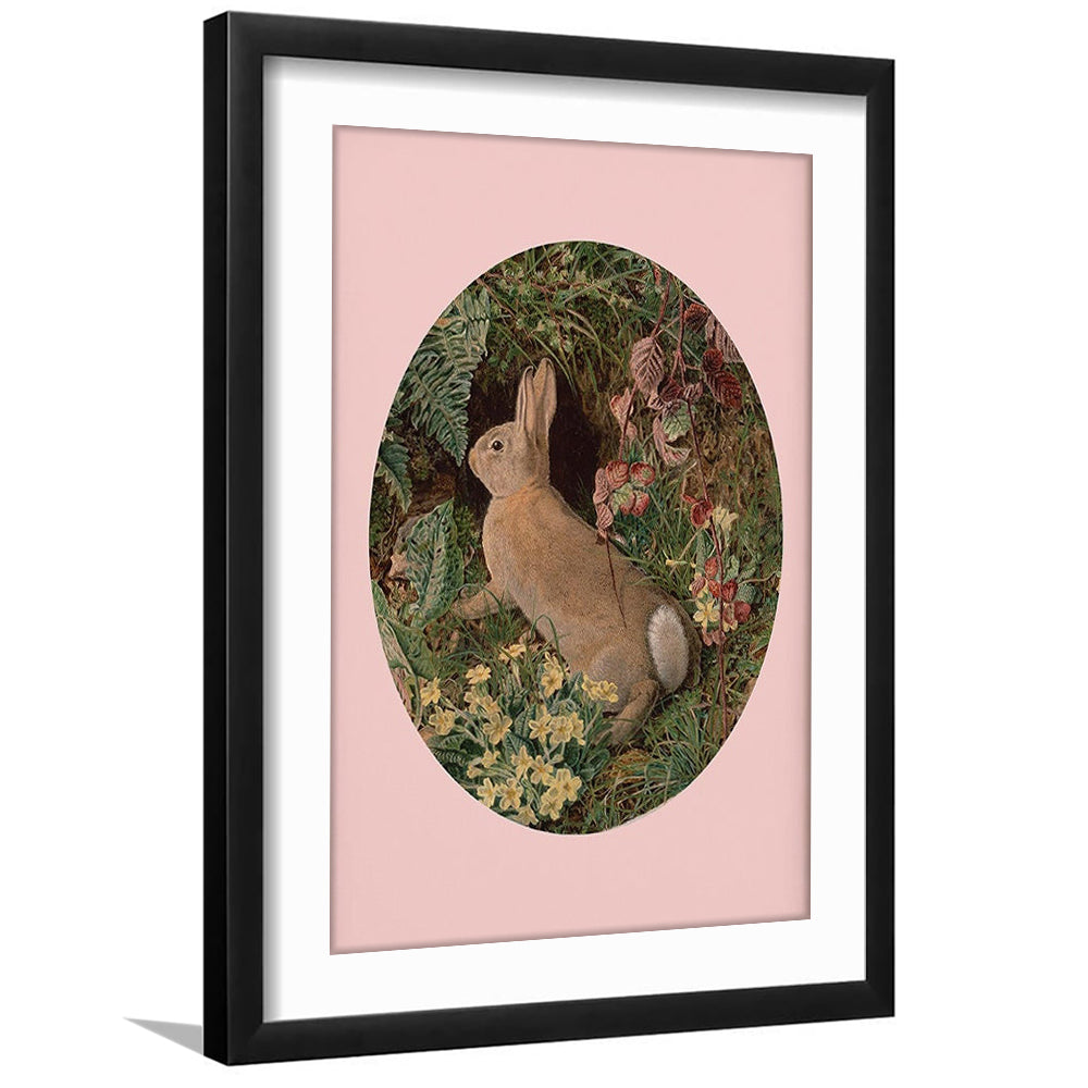 Rabbit Wall Art,Pring Decor,Pring Wall Prints, Framed Picture Print, Framed Art Prints White Border Wall Decor