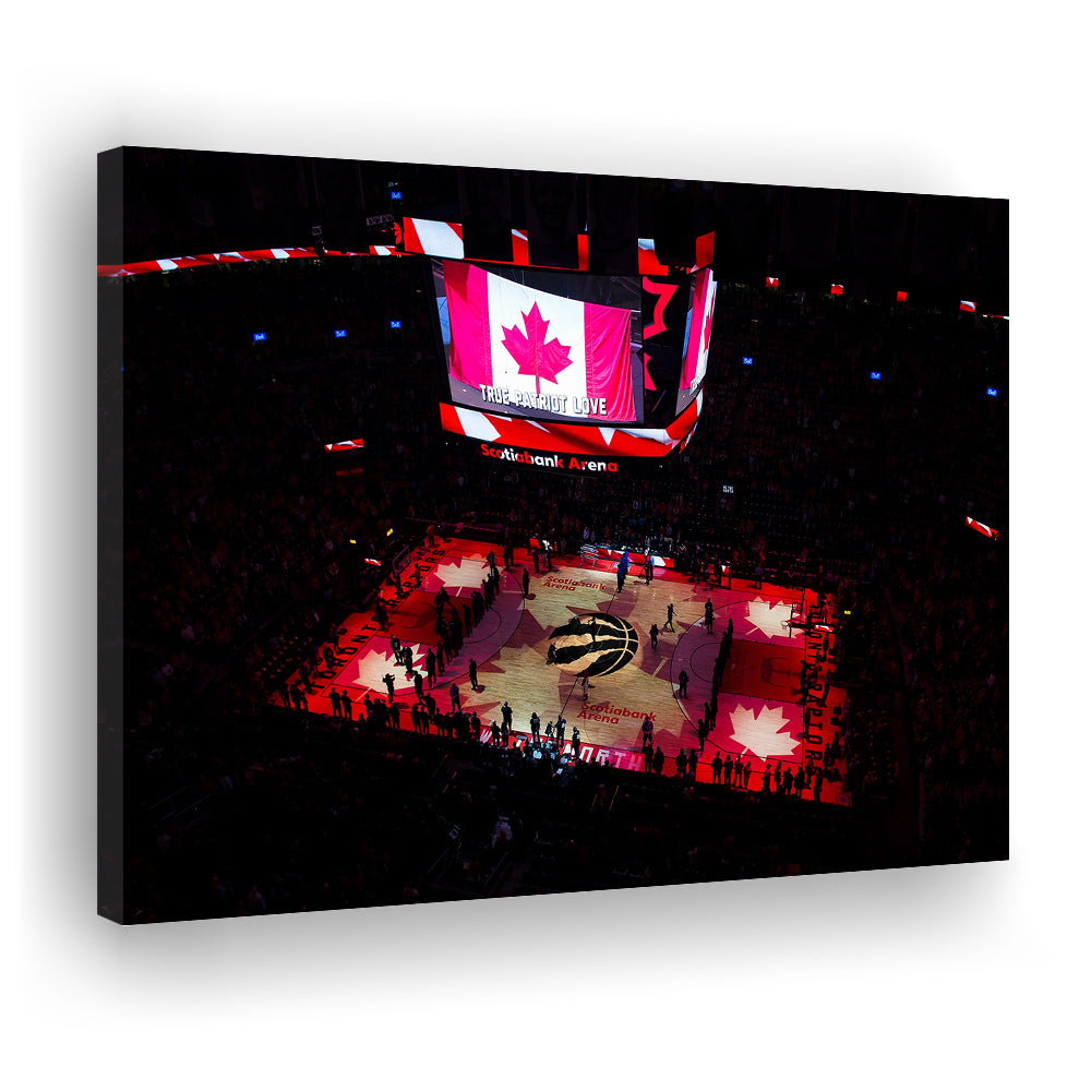 Raptors in Canada, Stadium Canvas, Sport Art, Gift for him, Man Cave Decor, Art Print, Canvas Print Wall Art