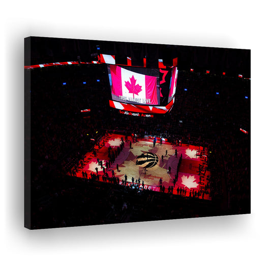 Raptors in Canada, Stadium Canvas, Sport Art, Gift for him, Man Cave Decor, Art Print, Canvas Print Wall Art