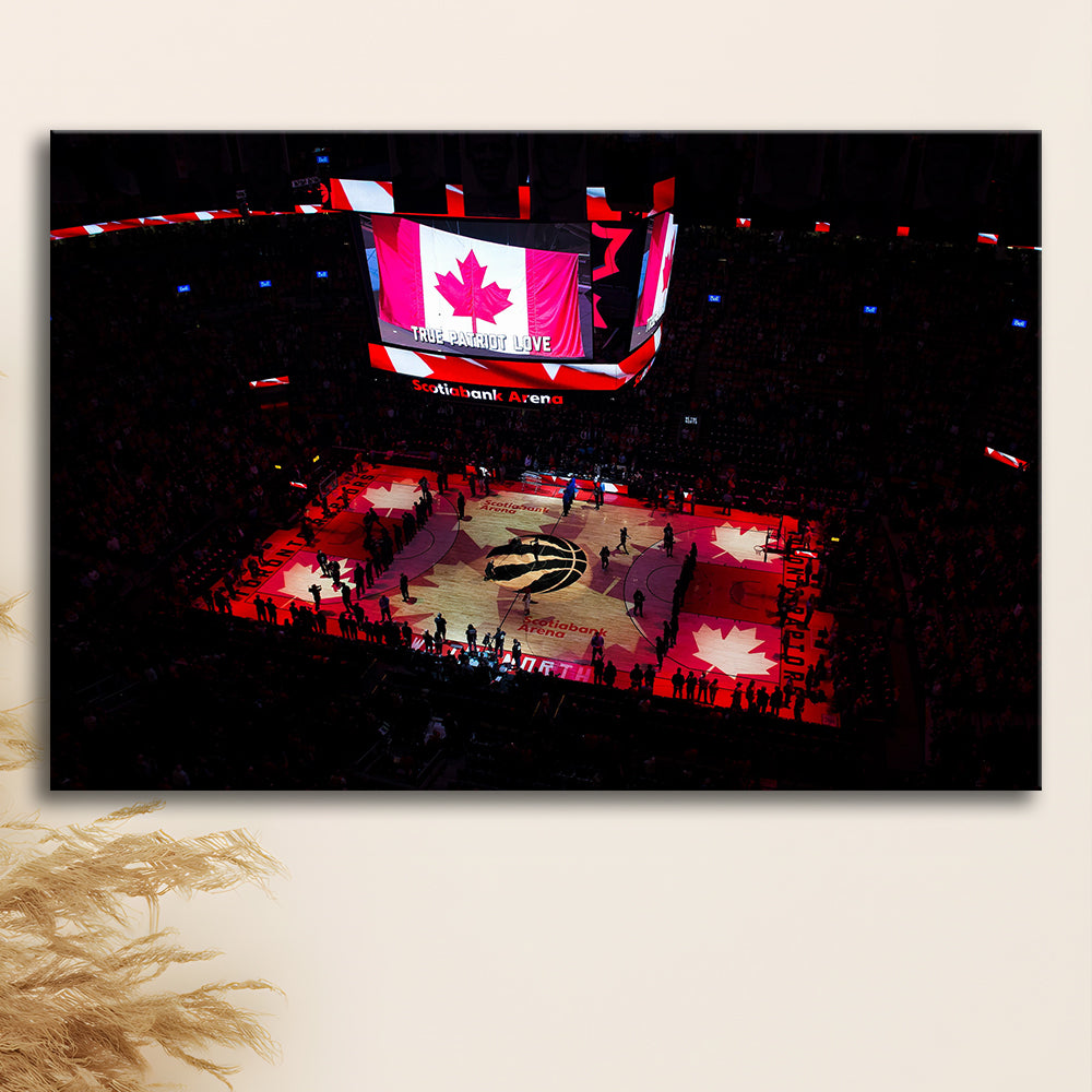 Raptors in Canada, Stadium Canvas, Sport Art, Gift for him, Man Cave Decor, Art Print, Canvas Print Wall Art